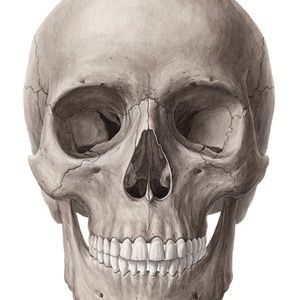 Meet your Posher, Claudia